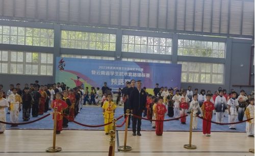 体育学院承办2023年武禹体育文化首届武术比赛
